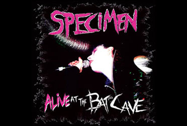 specimen - alive at the batcave